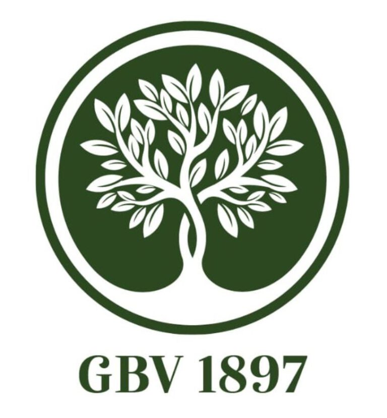 Logo 1 GBV